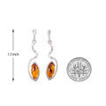 amber drop earrings compared to a coin