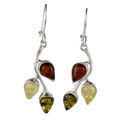 Sterling Silver Baltic Multicolored Amber Kidney Hook Earrings "May"