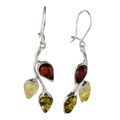 Sterling Silver Baltic Multicolored Amber Kidney Hook Earrings "May"