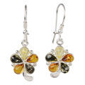 Sterling Silver Baltic Multicolored Amber Kidney Hook Earrings "Bindi"