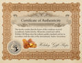 Polished Baltic Amber Bracelet certificate