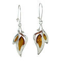 Sterling Silver and Baltic Honey Amber Earrings "Charlotte"