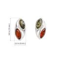 Dual green and honey Baltic amber stud earrings in 925 sterling silver with size guide showing 0.6 inch height and 0.3 inch width, oval two-stone post earrings on white background