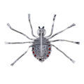 Bohemian Garnet Sterling Silver Spider Brooch