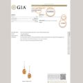 GIA gemological identification report confirming genuine Baltic amber stones in sterling silver earrings, showing lab certificate number and amber species
