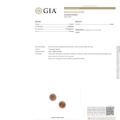 GIA Gemological Identification Report verifying genuine Baltic amber round stud earrings, showing lab certification details and official report number