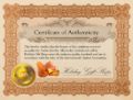 Certificate of authenticity included with Holiday Gift Shops Baltic amber earrings, confirming genuine amber jewelry and quality standards, official amber authenticity card with satisfaction guarantee