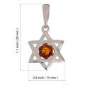 Sterling Silver and Baltic Amber Star of David Pendant