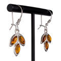 Sterling Silver and Baltic Amber Kidney Hook Honey Amber Earrings
