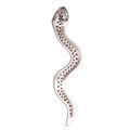 Bohemian Garnet Sterling Silver Snake Pendant