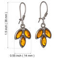 Sterling Silver and Baltic Amber Kidney Hook Honey Amber Earrings