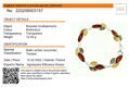 Sterling Silver Multi-Colored Baltic Amber Bracelet "April", Amber Jewelry Collection