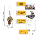 Baltic amber drop earrings in 925 sterling silver with size dimensions, made in Poland, lab certified amber stones, lightweight 5.5 g jewelry infographic
