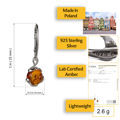 Amber Earrings for Women - GIA Certified 925 Sterling Silver and Baltic Honey Amber Earrings, French Leverback Round Dangling Earrings UPC: 053926493418