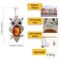 Sterling Silver and Baltic Amber Pendant "Owl"