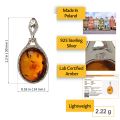 Genuine Baltic honey amber oval pendant in 925 sterling silver, 1.2 inch (30 mm) long and 0.55 inch (14 mm) wide, lab certified amber, made in Poland, lightweight 2.22 g, detailed product infographic on white background