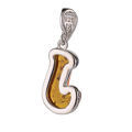 Sterling Silver and Baltic Amber J Initial Pendant Necklace
