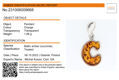 Sterling Silver and Baltic Amber C Initial Pendant Necklace