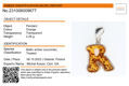 Sterling Silver and Baltic Amber R Initial Pendant Necklace