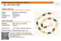 Amber Experts identification micro report certifying genuine Baltic amber bracelet in 925 sterling silver, multicolor succinite stones, 6.57g weight, issued in Gdańsk Poland with authenticity verification QR code