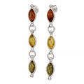 Image of Multicolor Baltic Amber Earrings from Amber Jewelry Collection