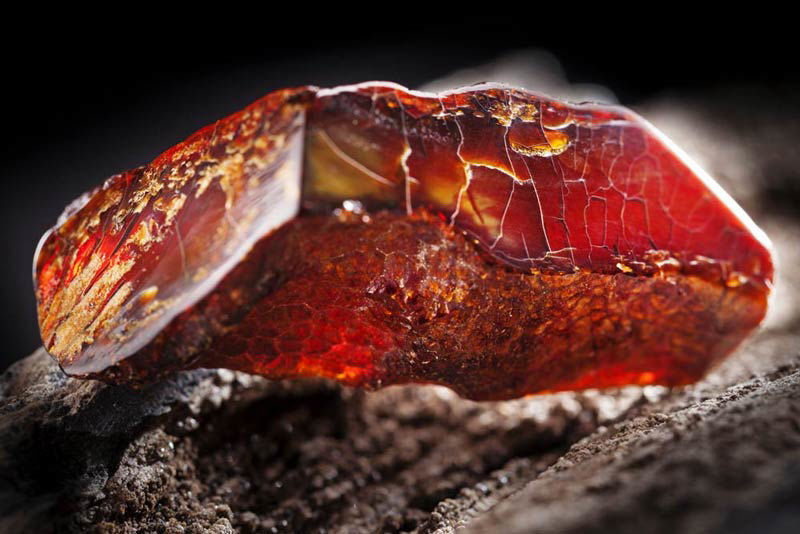 Red Amber - Natural Rare Red Variety of Amber - Geology In