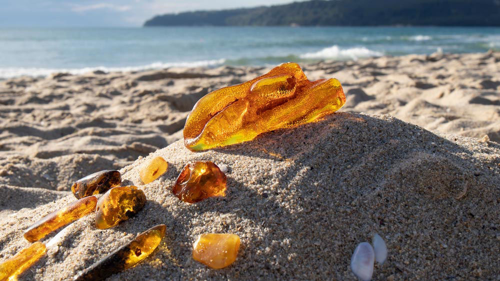 natural honey amber ring